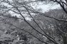 snow2