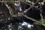 aphrodite bath