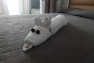 towel