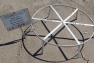 turtle nest