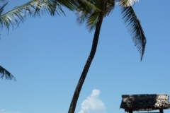 P1000208-min