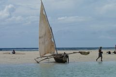 P1000344