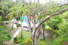 view