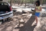 Claire with cats at Plaka