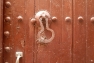 DSCN0838