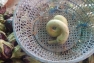 DSCN0926