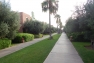 DSCN0968-1
