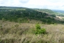 shimba hills
