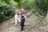 theclimb