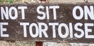 tortoise sign